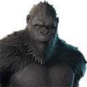 Kong
