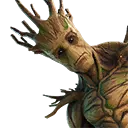 Groot
