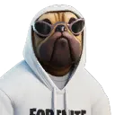 Shady Doggo
