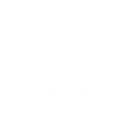 Disco (Surf Curse)