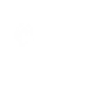 Catling Gun