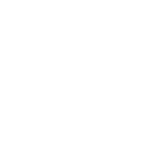 Dancin' Domino
