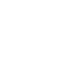 Shimmy Wiggle