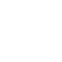 Bodies