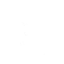 Segway Tour