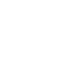 The Renegade