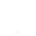 Synth Step