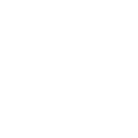 Wednesday's Dance