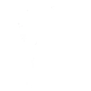 Snowshaker