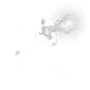 Fire Show