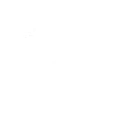 The Airplane