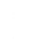 Ninja Style