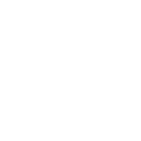 Shadow Play: Toad