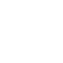 Shadow Play: Max Elephant