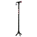 LISA's Classic Mic