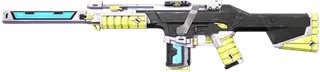 RDVR Phantom